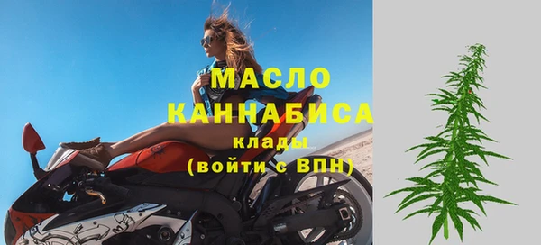 сатива Сосновый Бор