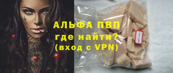 сатива Сосновый Бор