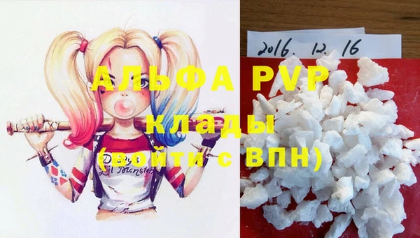 сатива Сосновый Бор