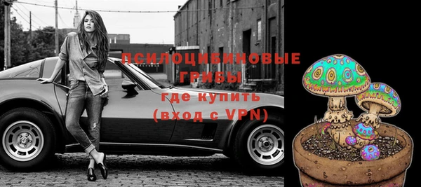 сатива Сосновый Бор