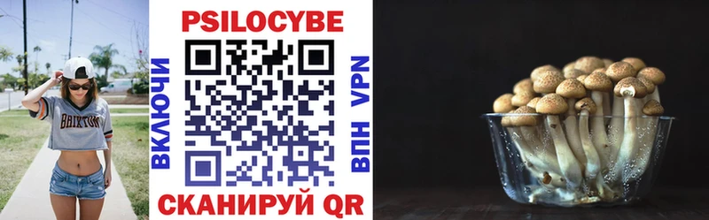 Галлюциногенные грибы Psilocybine cubensis купить наркотик Липецк