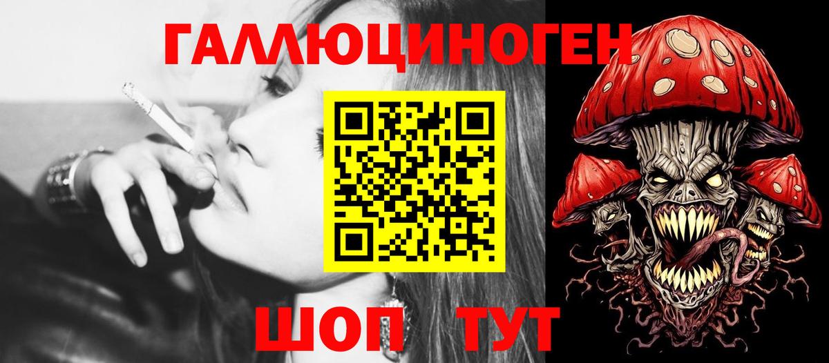 Галлюциногенные грибы Psilocybine cubensis Липецк