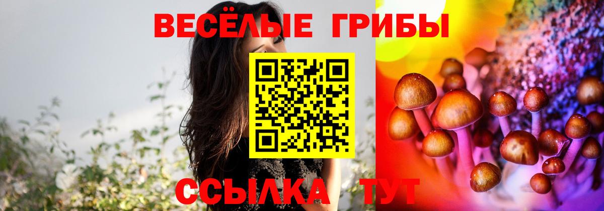 Липецк  Псилоцибиновые грибы GOLDEN TEACHER  Псилоцибиновые грибы Magic Shrooms  Вход с VPN 
